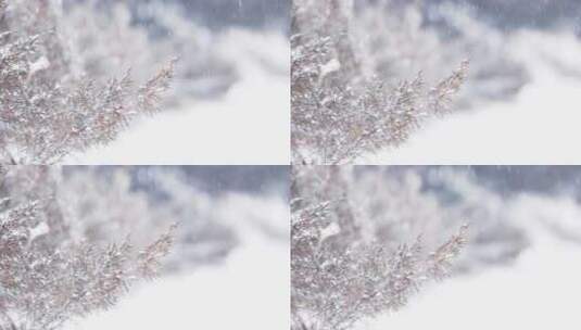 雪景冬季下雪天大雪中的枯草雪花高清在线视频素材下载