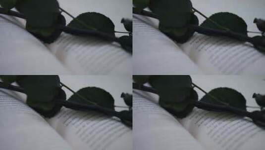 玫瑰花叶静躺在书本上高清在线视频素材下载