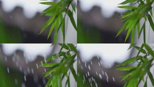 竹叶 细雨 朦胧高清在线视频素材下载