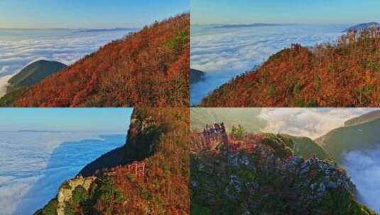 大气航拍巫峡云海红叶高清在线视频素材下载