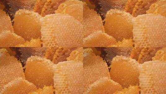 蜂蜜 蜜蜂 蜂巢 食物高清在线视频素材下载