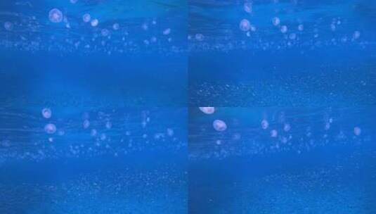 一群水母随海浪涌动高清在线视频素材下载