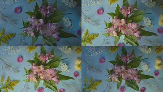 六出花鲜花花朵花束手捧花高清在线视频素材下载