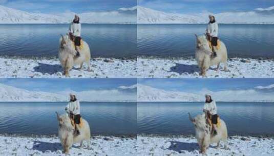雪山湖泊蓝天白云美女坐在牦牛上高清在线视频素材下载