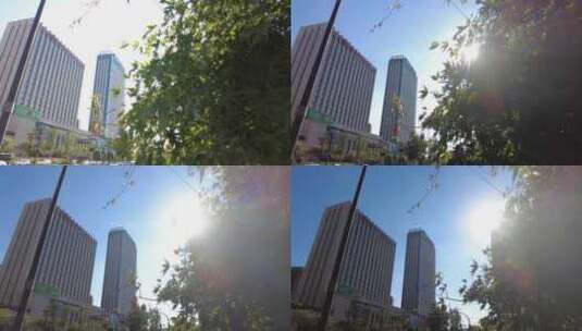 城市阳光穿过树叶子视频素材高清在线视频素材下载