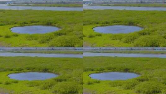 杭州钱塘大湾区湿地公园航拍视频高清在线视频素材下载