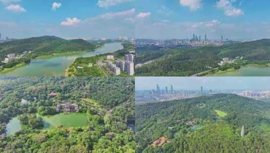 南宁青秀山风景区航拍视频素材高清在线视频素材下载