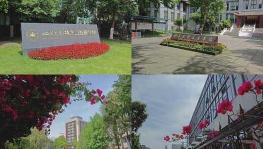 四川大学华西医院附属医院高清在线视频素材下载