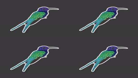 热带鸟类贴纸包高清在线视频素材下载