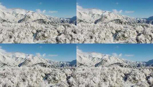 西岭雪山 雪景 大雪覆盖的自然风光 航拍高清在线视频素材下载