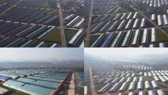 蔬菜大棚 集体农业高清在线视频素材下载