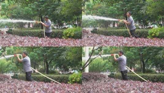 园林工人在路边给树浇水高清在线视频素材下载