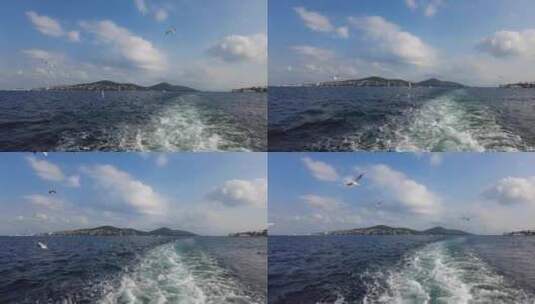 拍摄渡后缓慢飞行的海鸥高清在线视频素材下载
