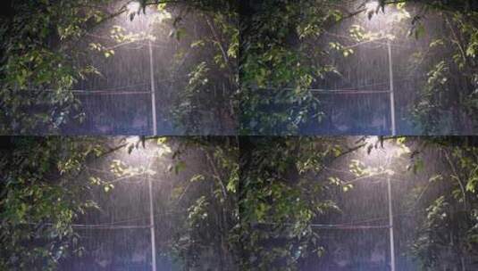大雨的夜晚路灯树下照亮的雨丝高清在线视频素材下载