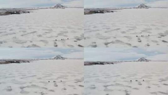 空中冬季景观，一群游客骑马旅游，在Wii的巨大冰冻湖Myvatn上旅行高清在线视频素材下载