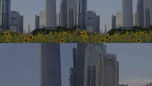 2023广州珠江新城建筑高清在线视频素材下载