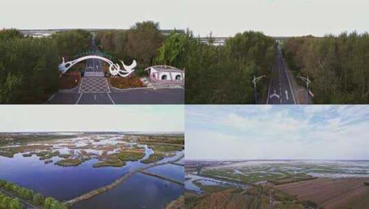 吉林莫莫格自然湿地保护区高清在线视频素材下载