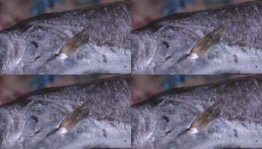 带鱼鱼头鱼皮特写 (1)高清在线视频素材下载