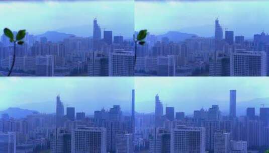城市建设深圳福田高楼林立高清在线视频素材下载