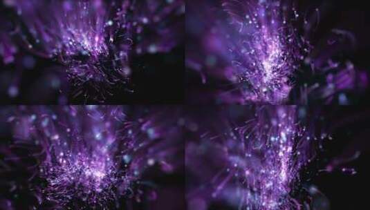 紫色舞台全息粒子旋转高清在线视频素材下载