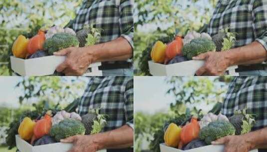 老人拿着装蔬菜的篮子高清在线视频素材下载