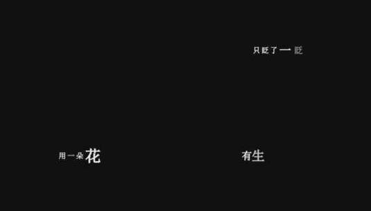 王菲-流年歌词视频素材高清在线视频素材下载