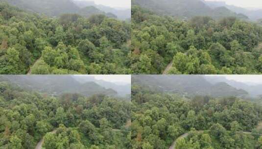 大山风景航拍 森林素材高清在线视频素材下载
