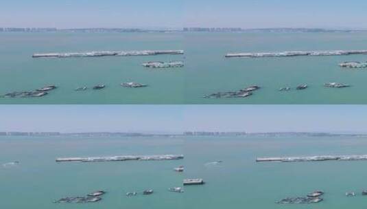 旅游景区福建湄洲岛码头竖屏高清在线视频素材下载
