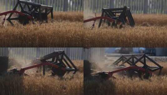 收麦子麦子熟了小麦收割机高清在线视频素材下载
