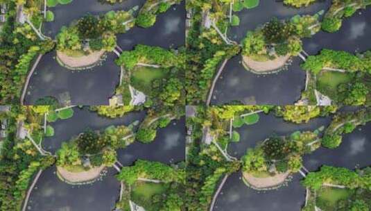 航拍湖泊园林景观绿化高清在线视频素材下载