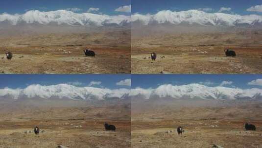 新疆帕米尔高原公格尔九别峰雪山风光高清在线视频素材下载