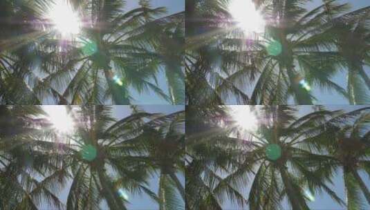 摄阳光透过摇曳的棕榈树高清在线视频素材下载