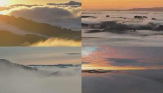 雾气迷漫日出森林晨雾意境水墨景色高清在线视频素材下载