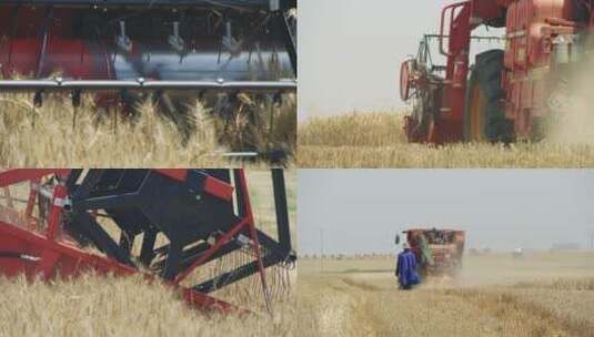 合集_麦田收割小麦4k慢动作高清在线视频素材下载