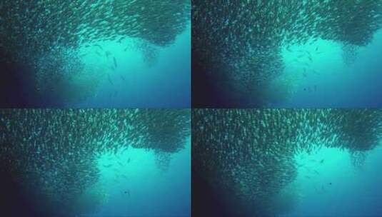 远洋捕捞海底巨大的鱼群高清在线视频素材下载