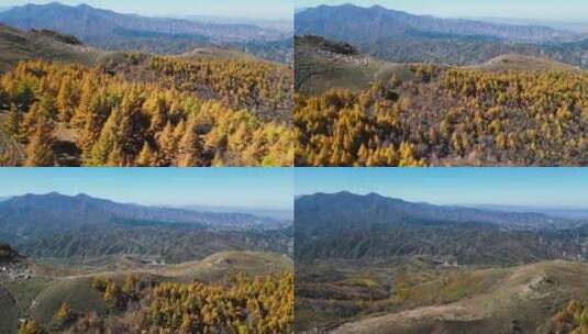 秋天山景 秋景 秋色 秋游高清在线视频素材下载