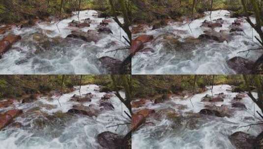 清澈山涧溪流高清在线视频素材下载
