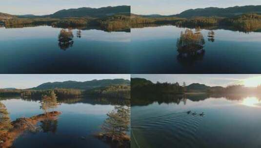 天空之镜唯美大自然森林湖泊日出野鸭倒影高清在线视频素材下载