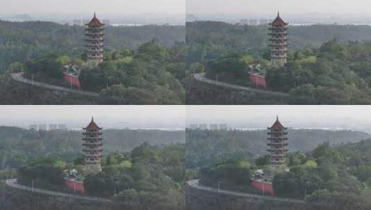 中国广东省广州市南沙区十八罗汉山森林公园高清在线视频素材下载