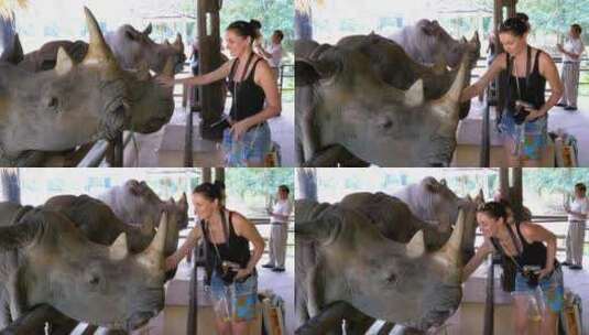 泰国考乔开放动物园，女孩用手喂犀牛高清在线视频素材下载