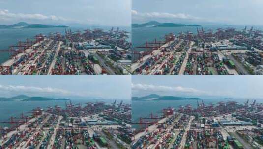 深圳蛇口港航拍延时高清在线视频素材下载
