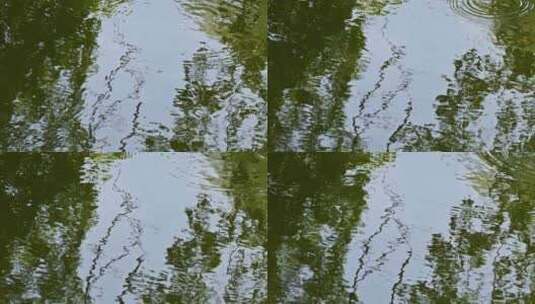 湖面落花花瓣落水水波纹水面倒影高清在线视频素材下载