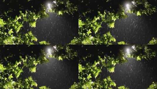 城市夏季雨天降水唯美空镜头高清在线视频素材下载