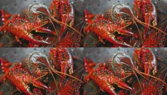 一盘活的小龙虾爬动海鲜生鲜虾特写高清在线视频素材下载