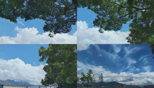 蓝天白云风吹树枝树叶植物实拍高清在线视频素材下载
