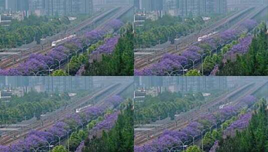 成都蓝花楹和向前飞驰的列车高清在线视频素材下载