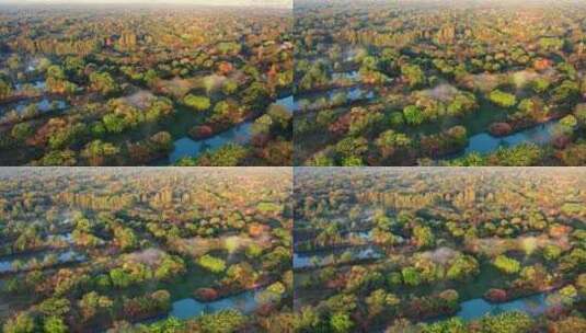 杭州西溪国家湿地公园航拍高清在线视频素材下载