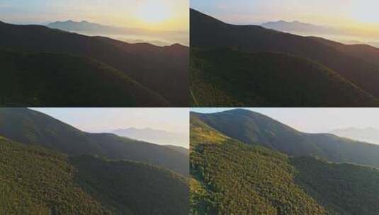 夏季高山草甸绿色森林牧场夕阳航拍高清在线视频素材下载