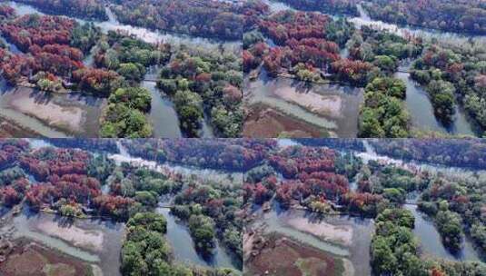 中国杭州西溪湿地秋日美景航拍高清在线视频素材下载