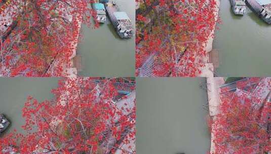 唯美意境古建筑旁盛开的木棉花岭南特色木棉高清在线视频素材下载